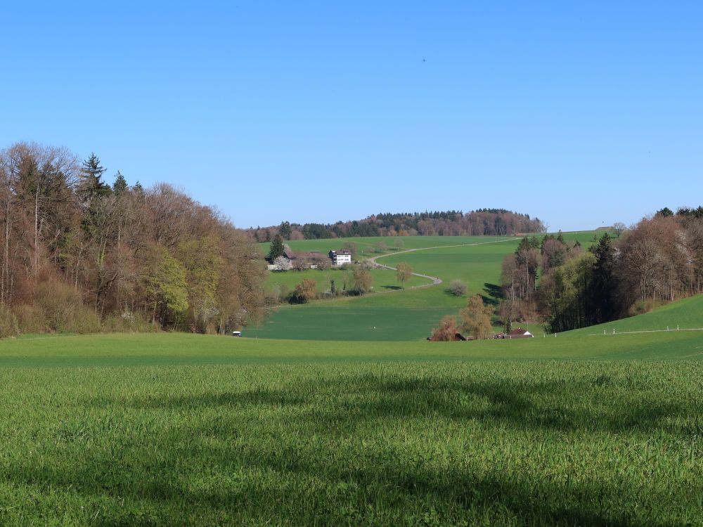 Blick Richtung Althaus