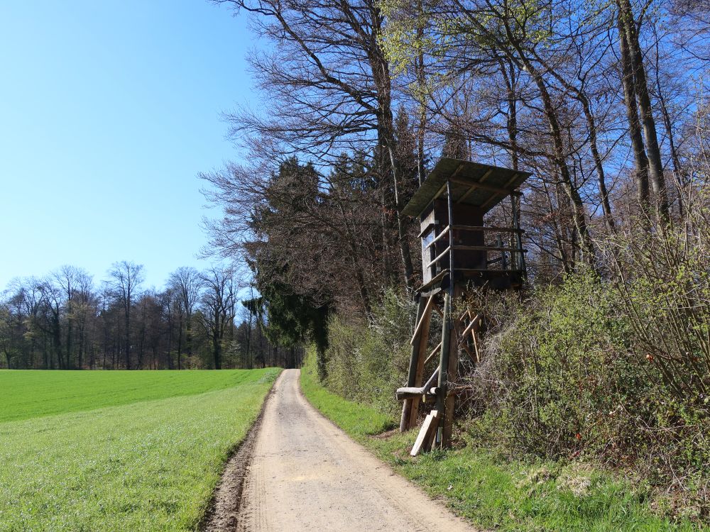 Jägerstand am Waldrand