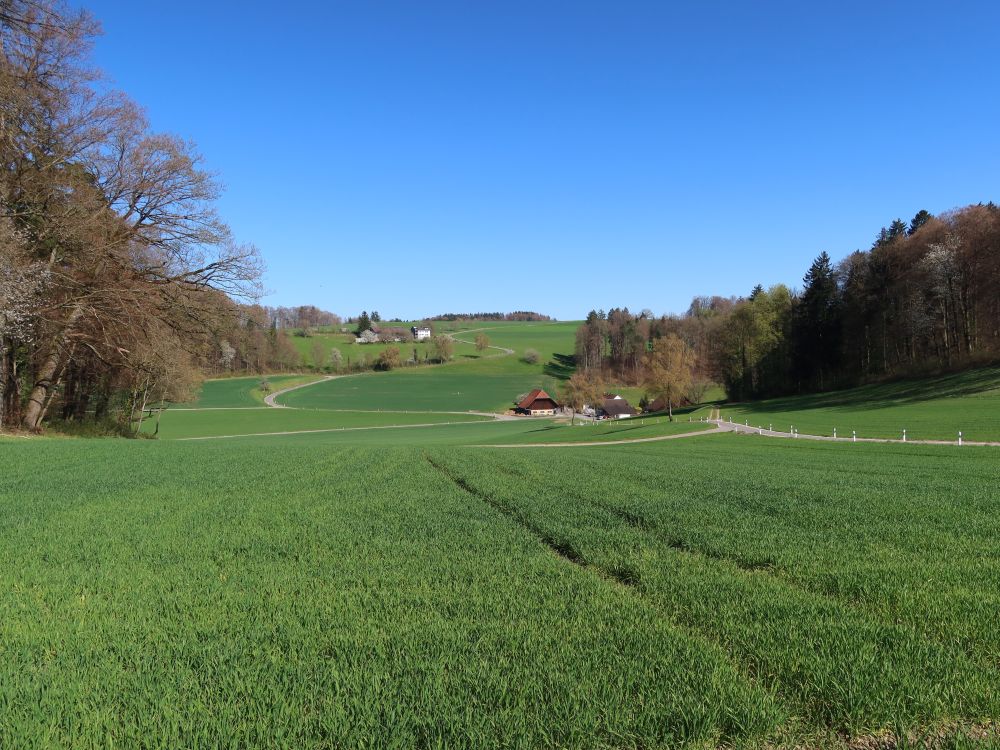 Althaus und Untermettmenstetten