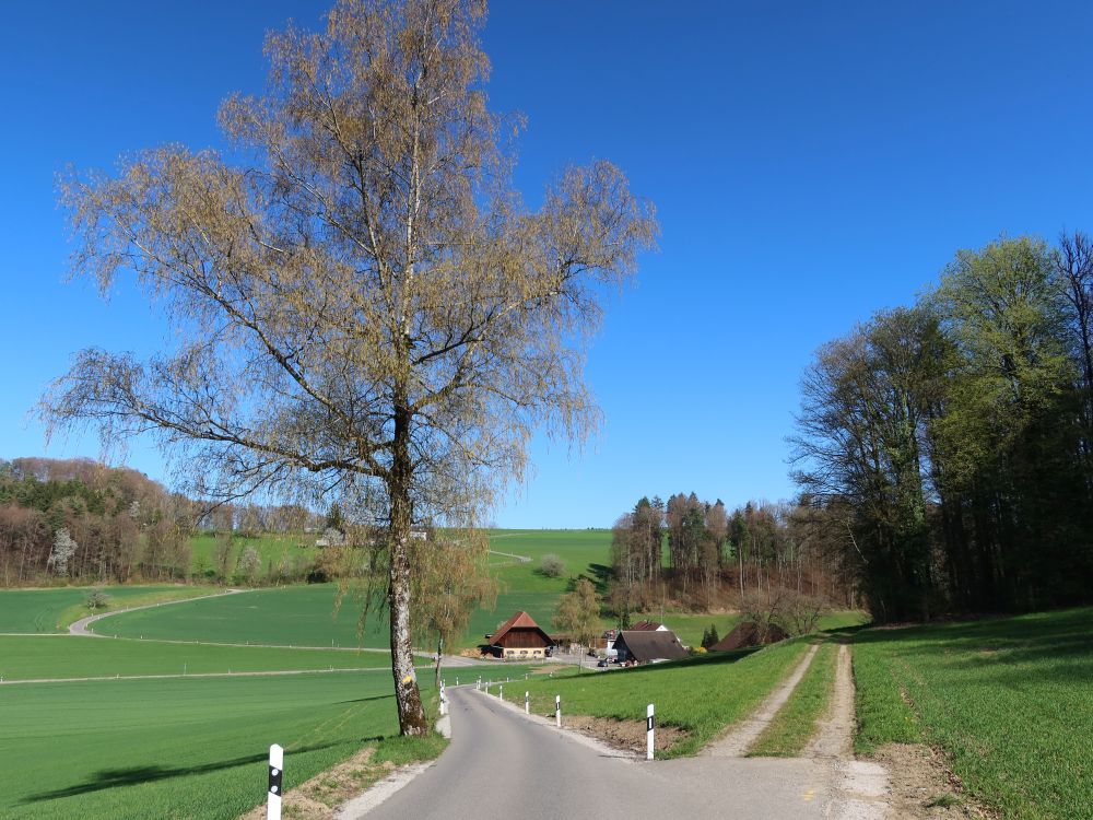 Blick Richtung Untermettmenstetten