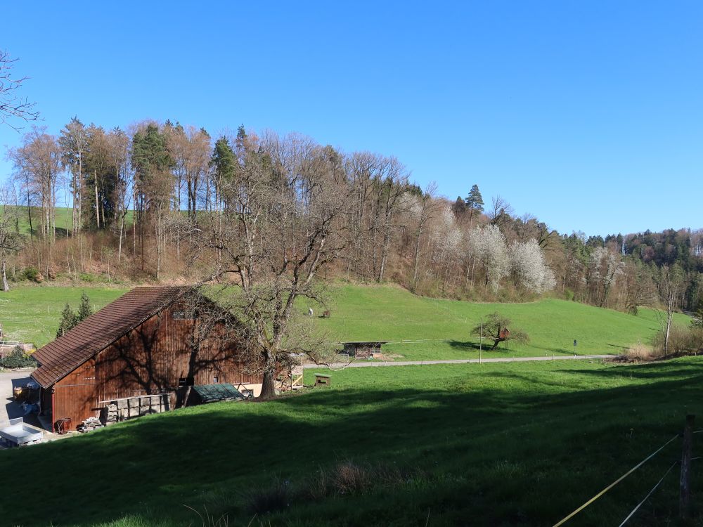 Scheune bei Untermettmenstetten