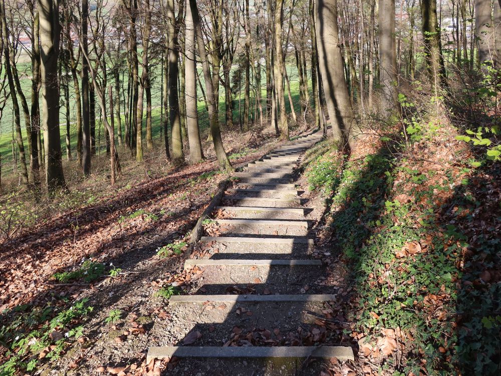 Treppe Eigelhartensteig