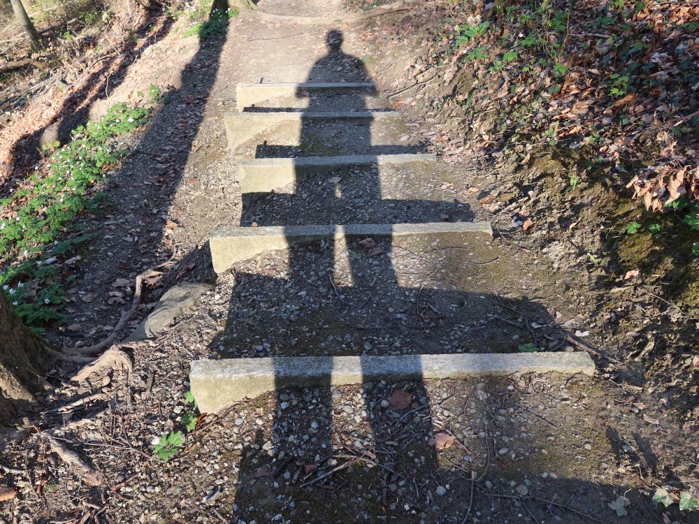 Schatten auf Treppe
