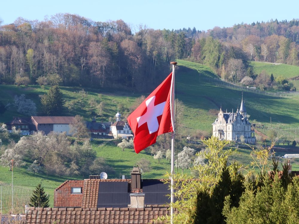 Schweizer Flagge und Schloss Wart