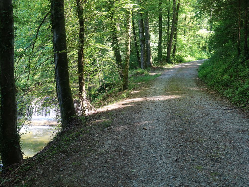 Uferweg am Dorfbach