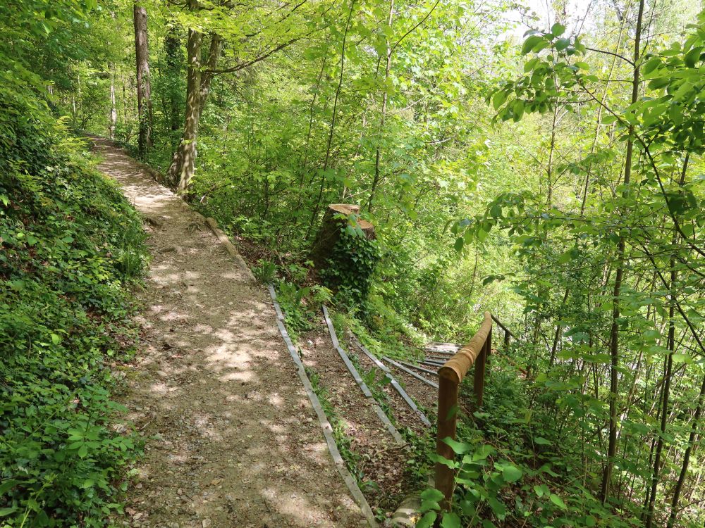 Treppe am Hexewägli