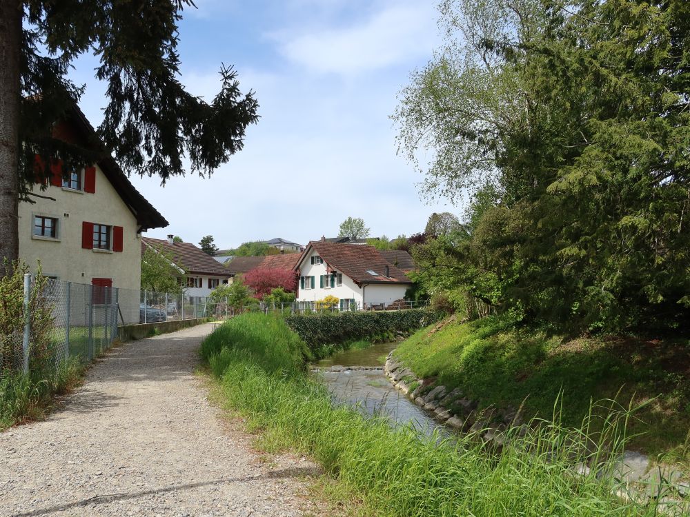 Dorfbach in Pfyn