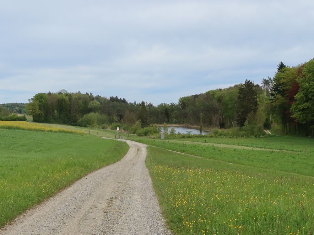 Weiher am Hinterired