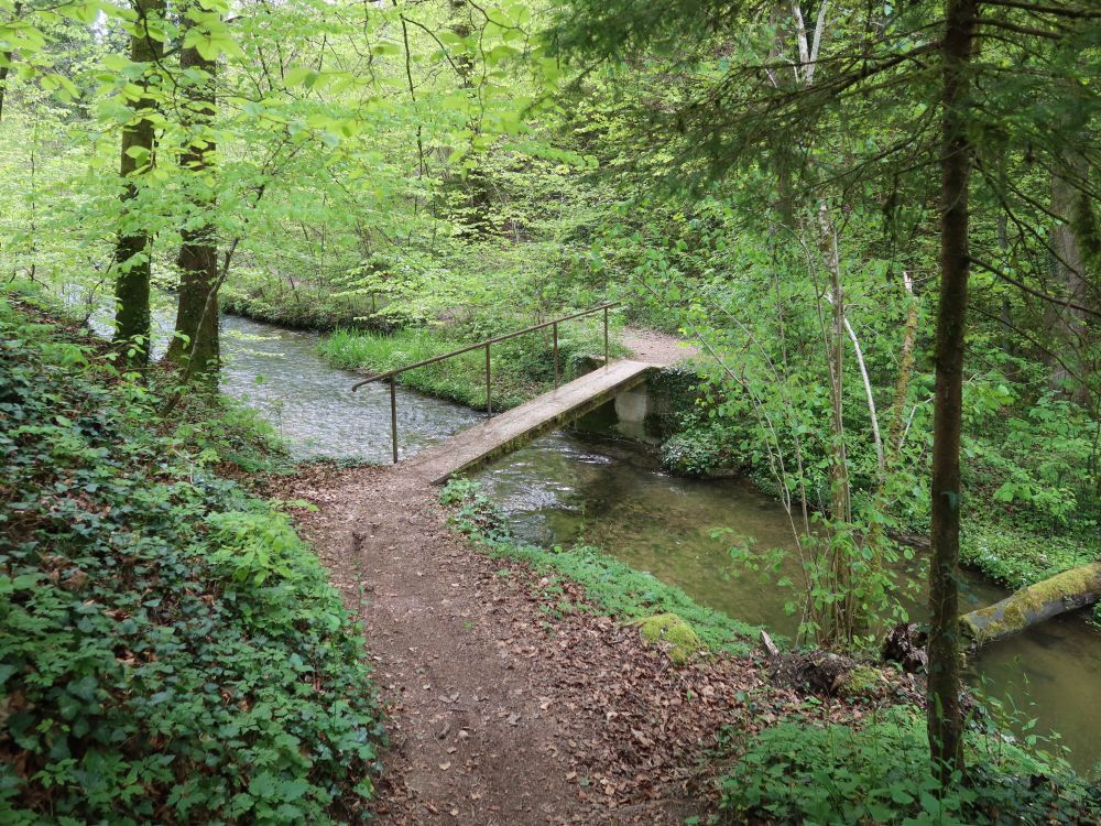 Steg übern Tebrunnertobelbach