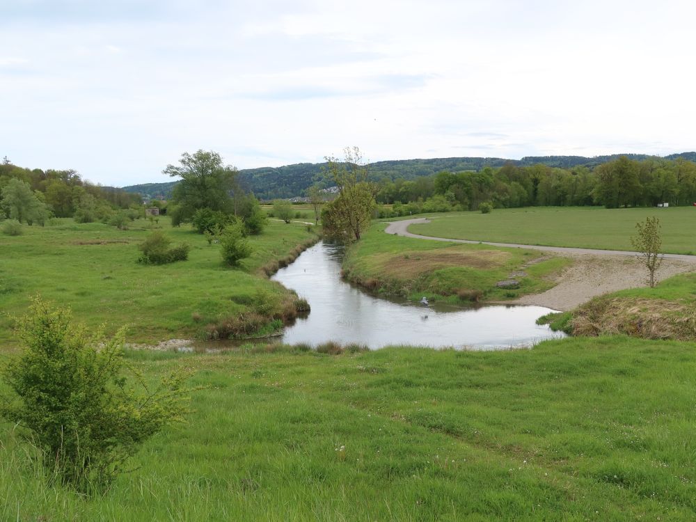 Teich im Allmänd