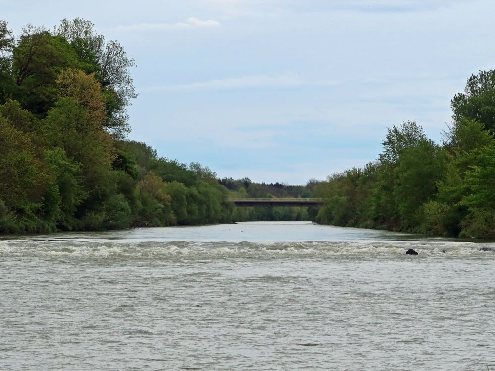 Thur mit Thurbrücke Felben-Pfyn