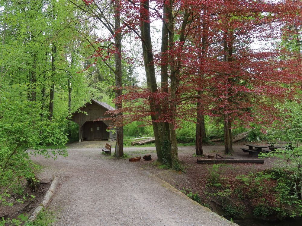 Hütte am Grillplatz Wide