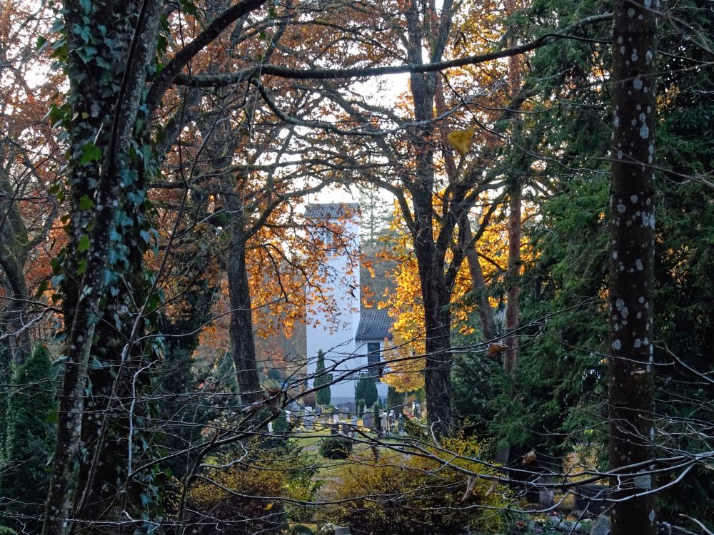 Waldfriedhof Radolfzell