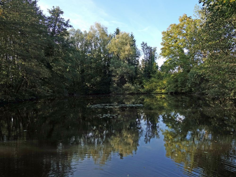 Teich am Mühlebach