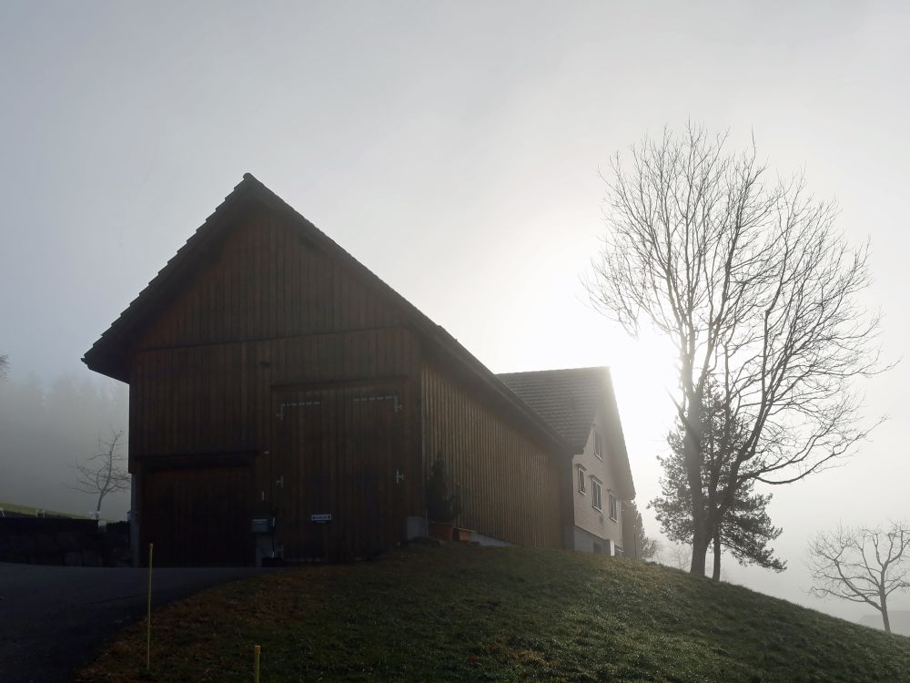 Bauernhof im Nebel