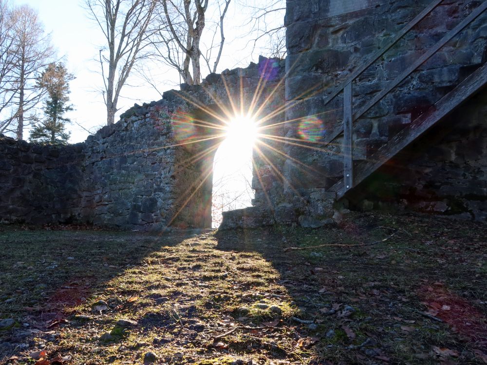 Gegenlicht im Ruinentor