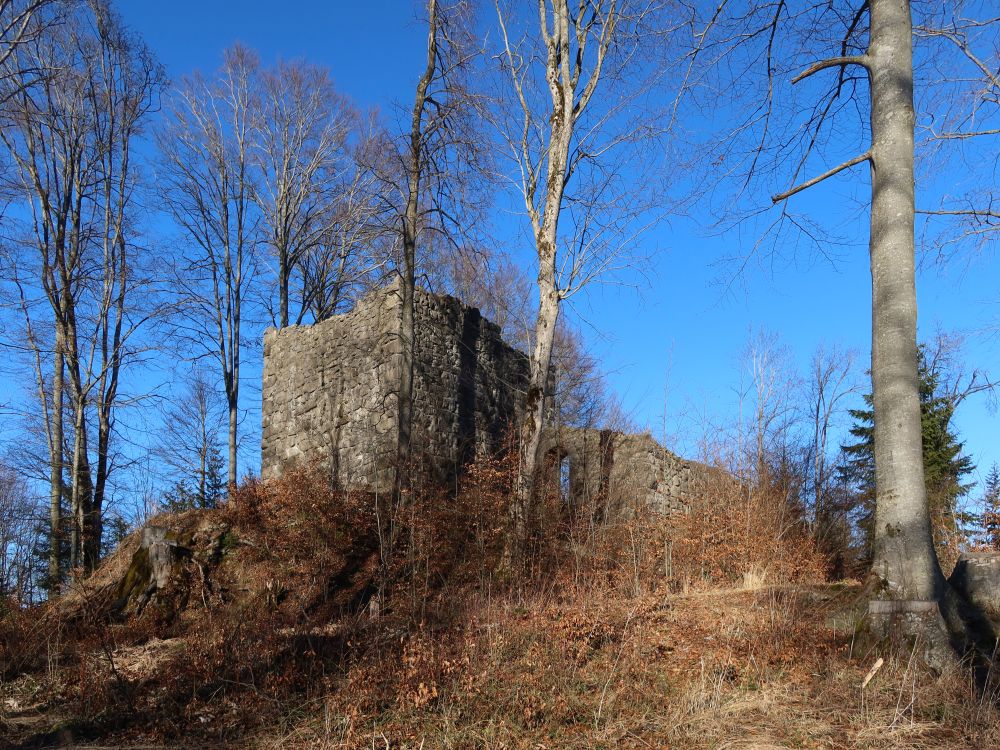 Ruine Rosenburg (Ramsenburg)