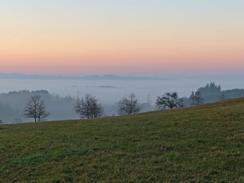 Nebel in den Niederungen