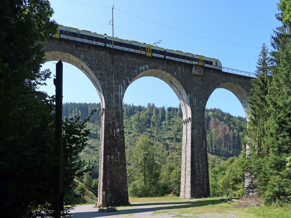 Zug auf der Ravennabrücke