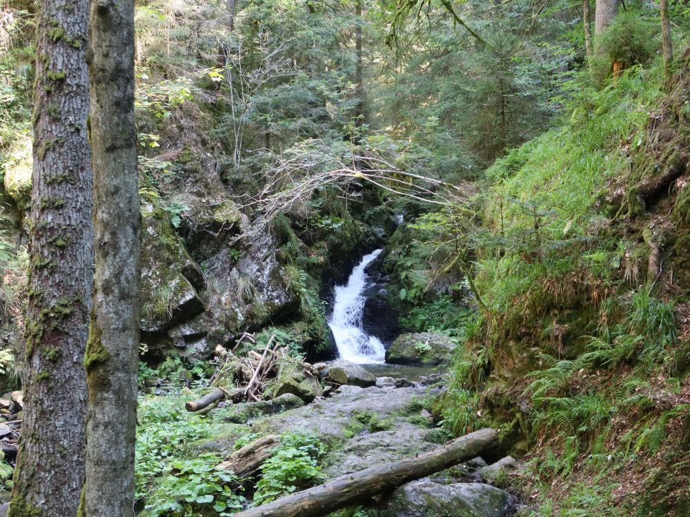 Wasserfall