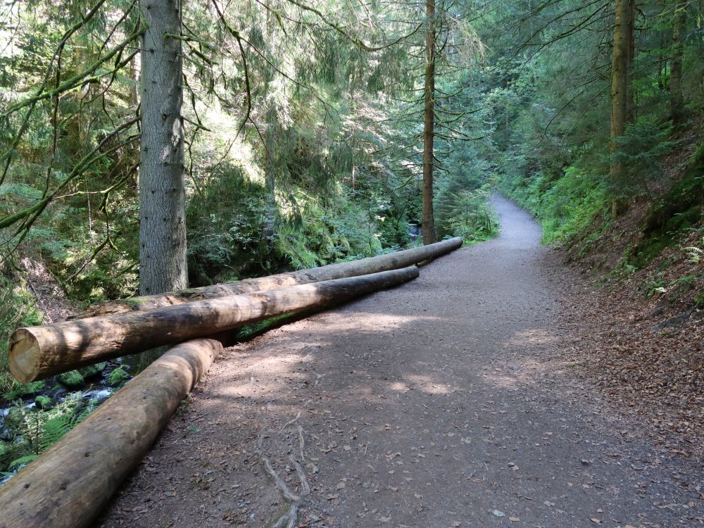 Weg in der Ravennaschlucht