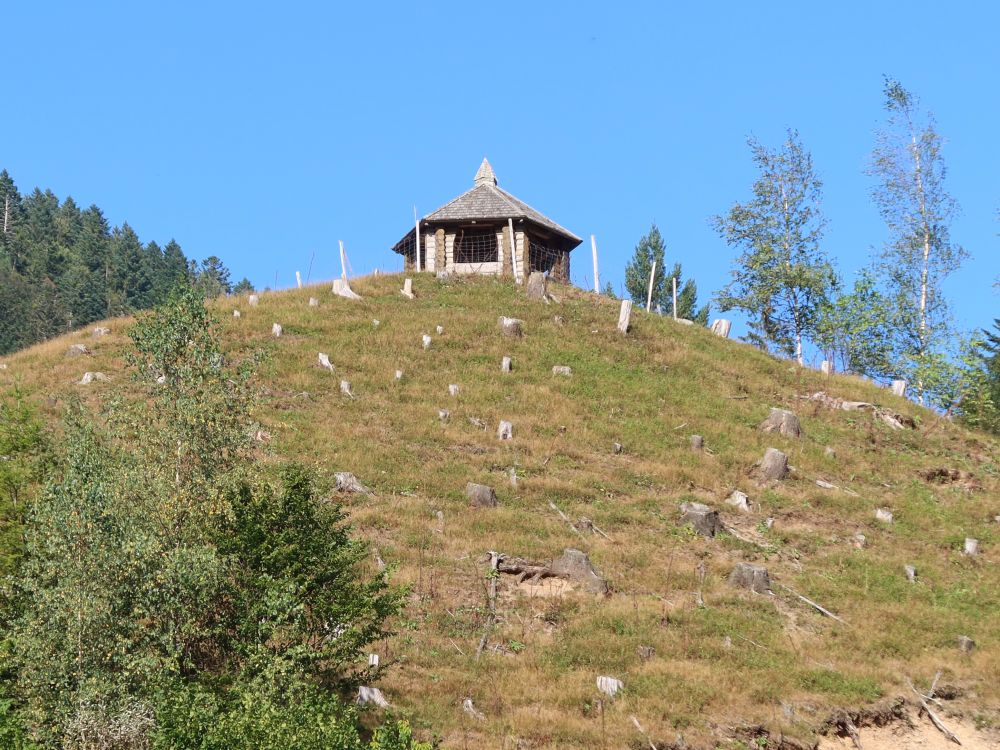 Aussichtspunkt Galgenbühl