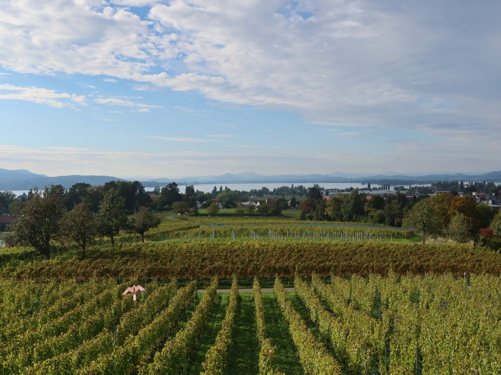 Blick Richtung Hegau