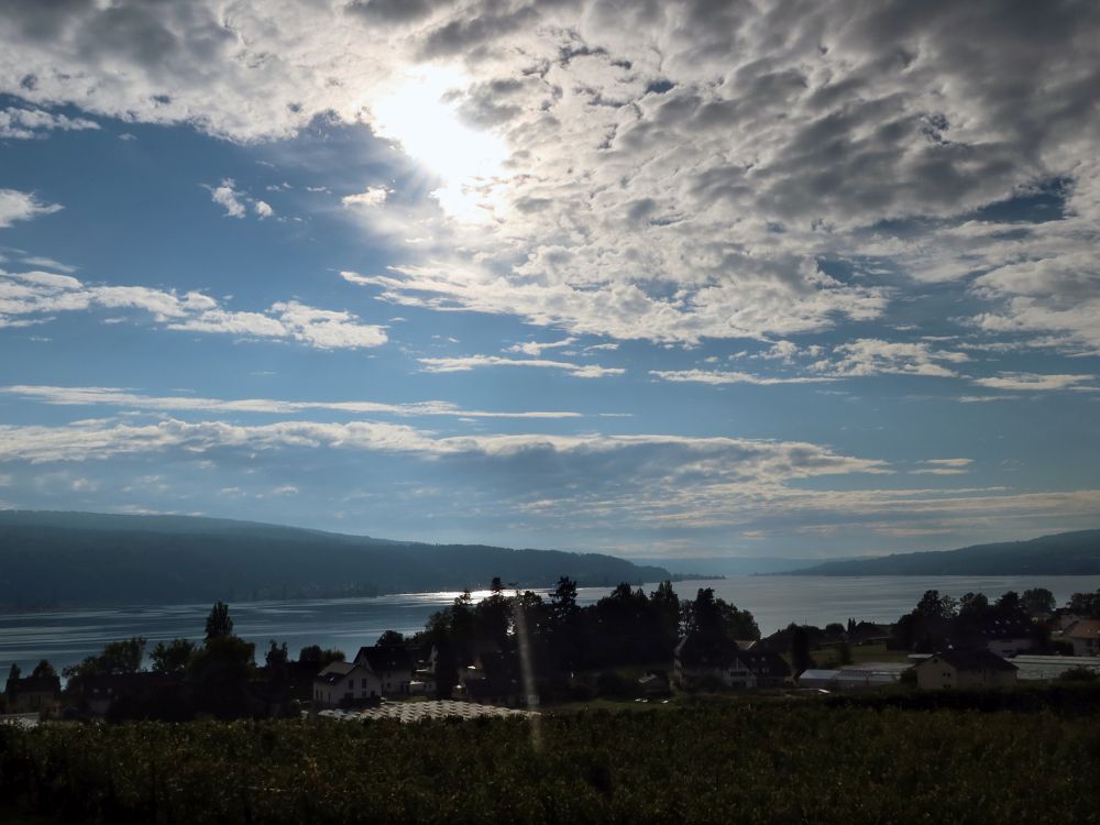 Gegenlicht überm Untersee