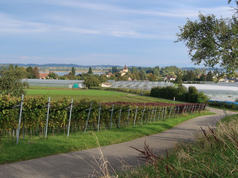 Blick Richtung St. Georg