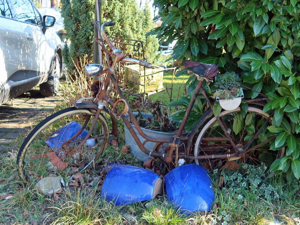 altes Fahrrad als Gartenschmuck