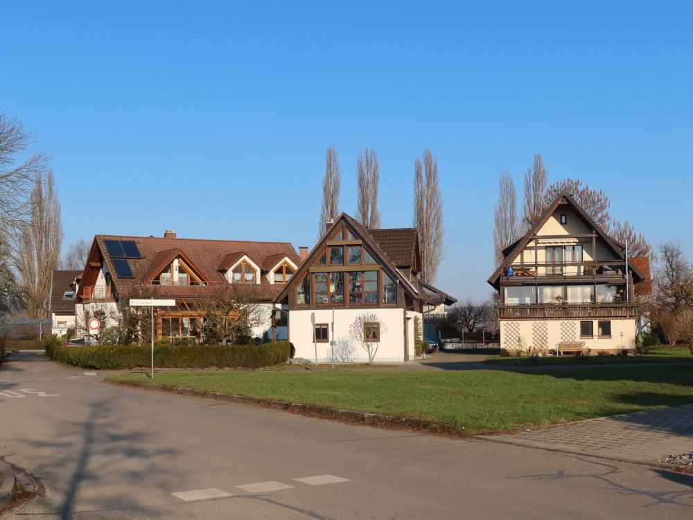 Häuser in Mittelzell