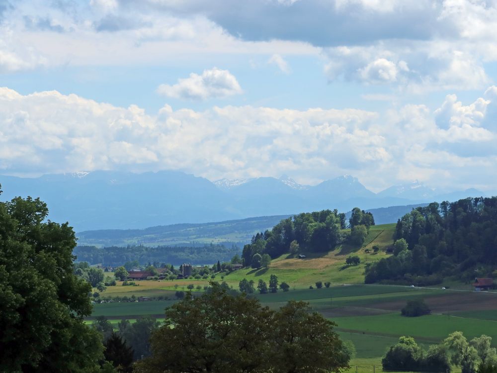 Berner Alpen im Dunst