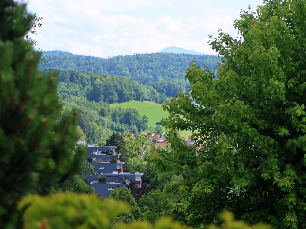 Rigi am Horizont