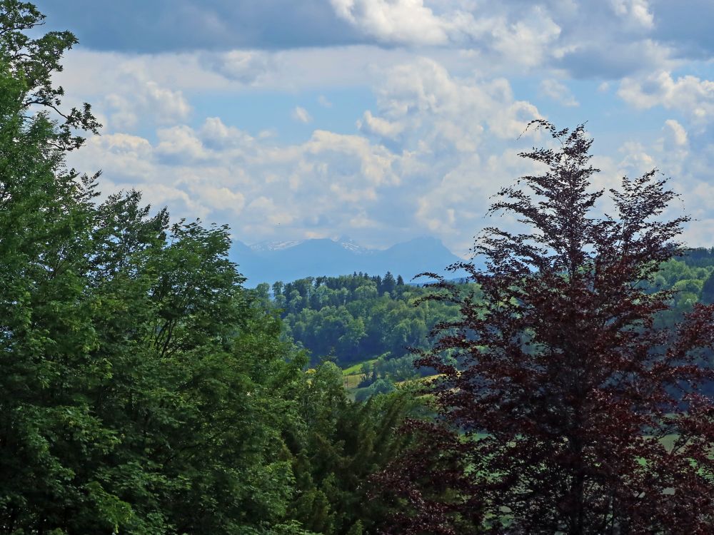 Alpen im Dunst