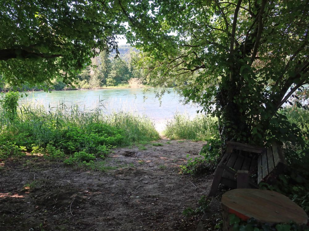Aareufer