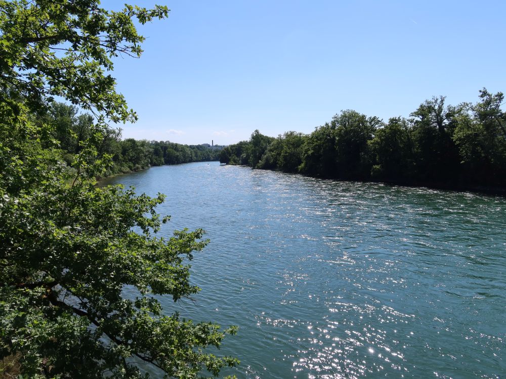 Aare