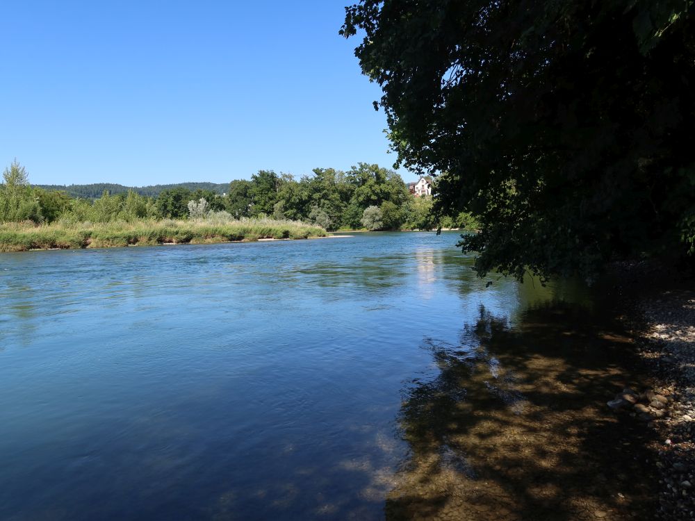 Aare