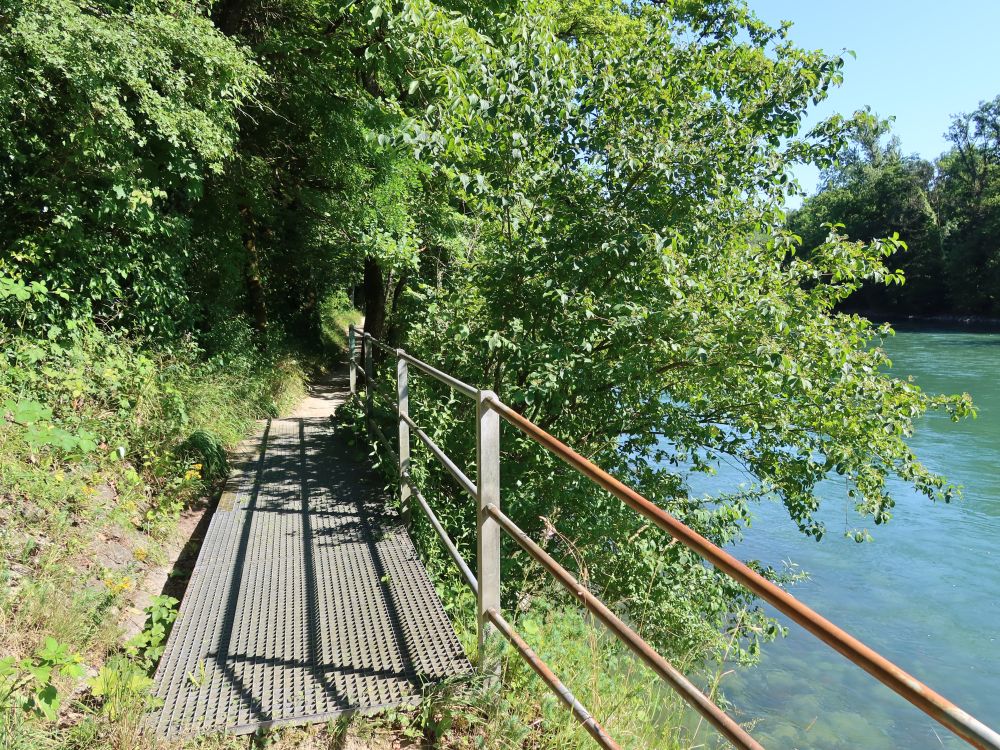 Steg an der Reuss