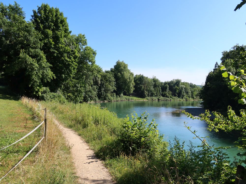 Pfad an der Reuss