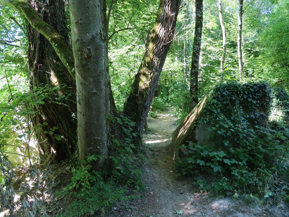 Panzersperre