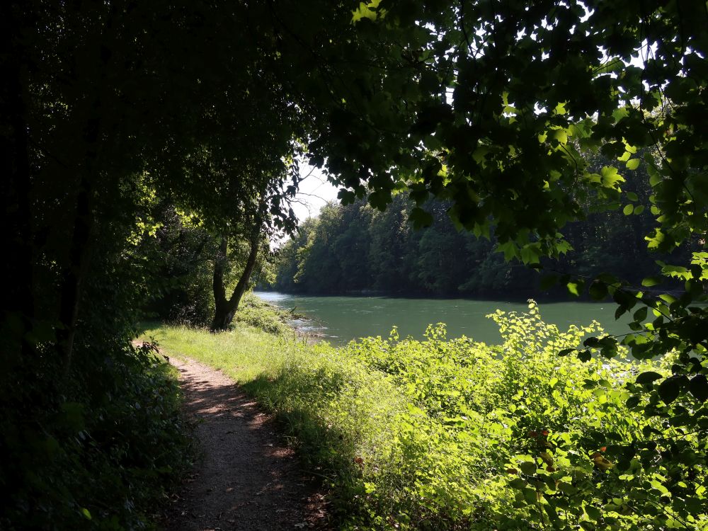 Pfad an der Reuss