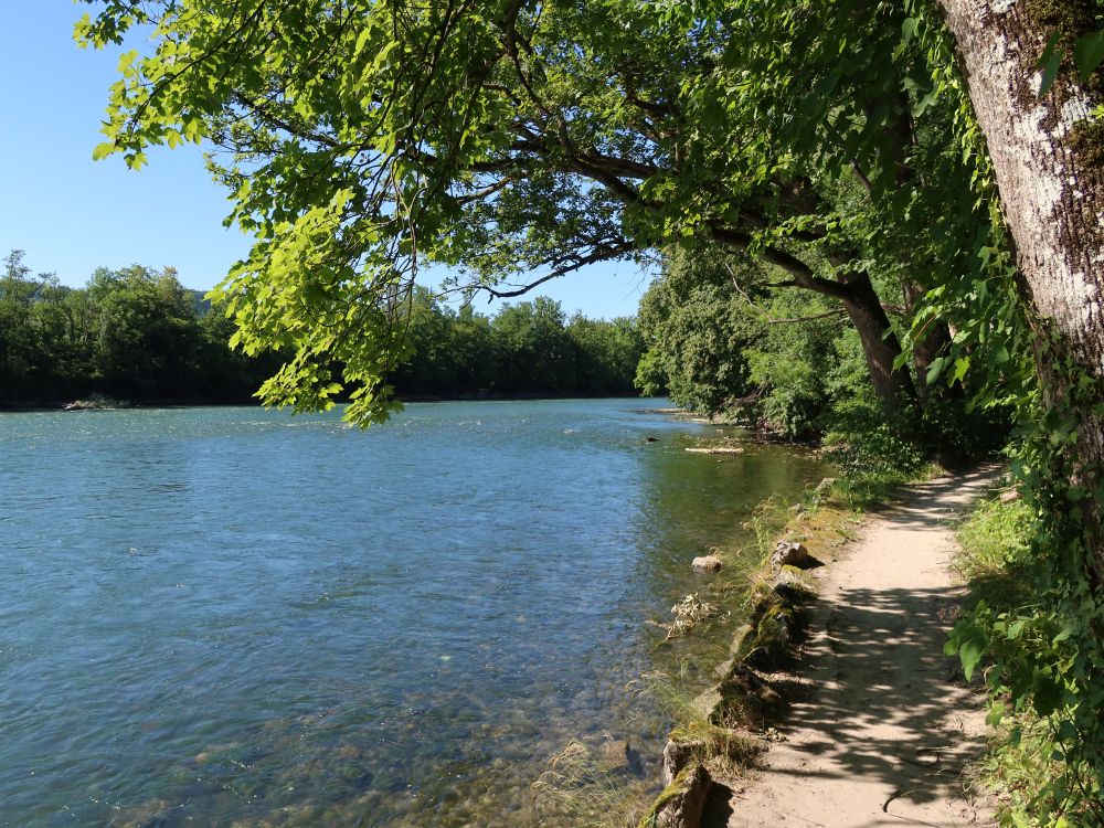 Uferpfad an der Reuss