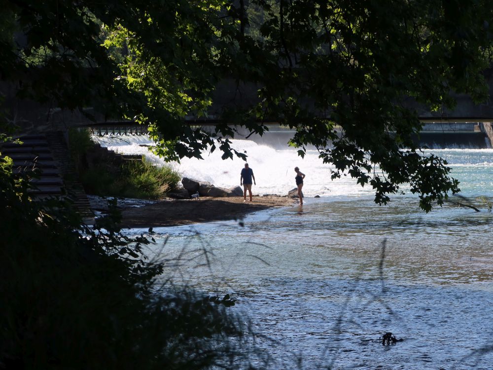 Stauwehr bei Windisch