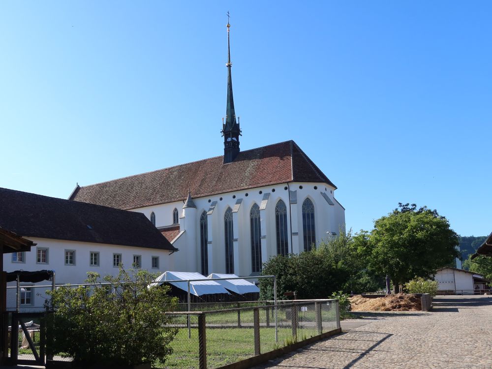 Klosterkirche Königsfelden