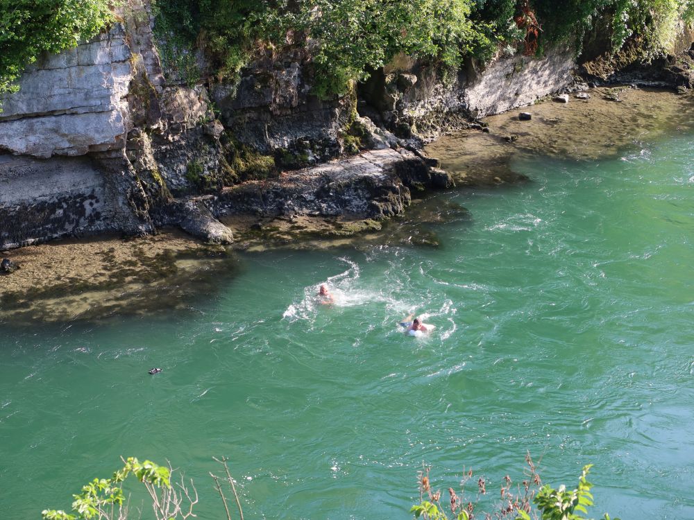 Schwimmer in der Aare