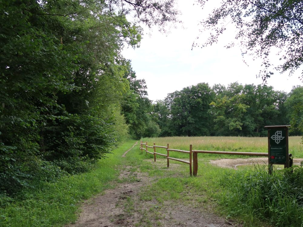 Pfad bei Ziegelfeld