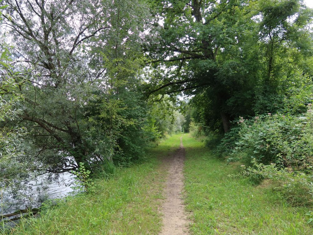 Pfad am Reussufer