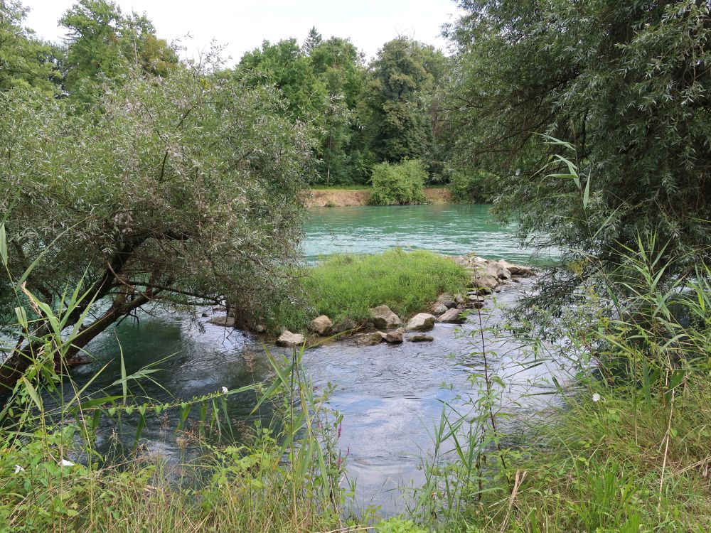 Inselchen in der Reuss