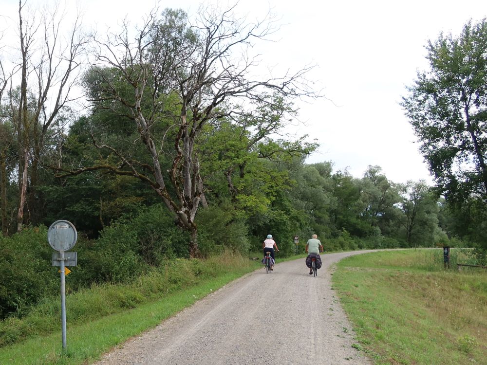 Radfahrer auf dem Dammweg