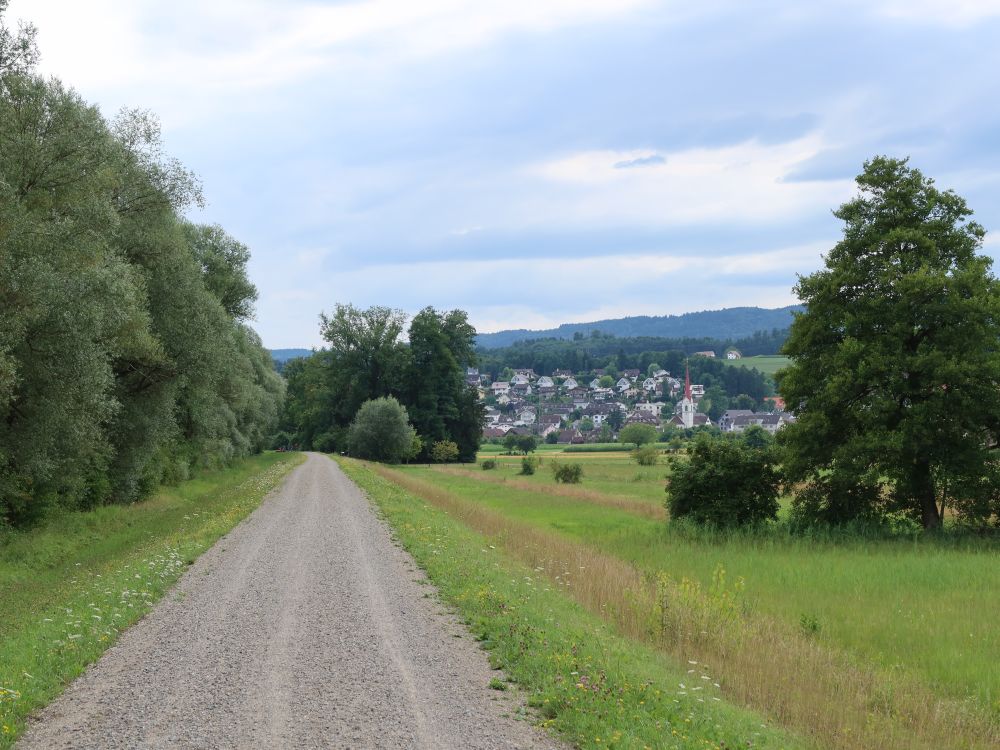 Dammweg und Mühlau